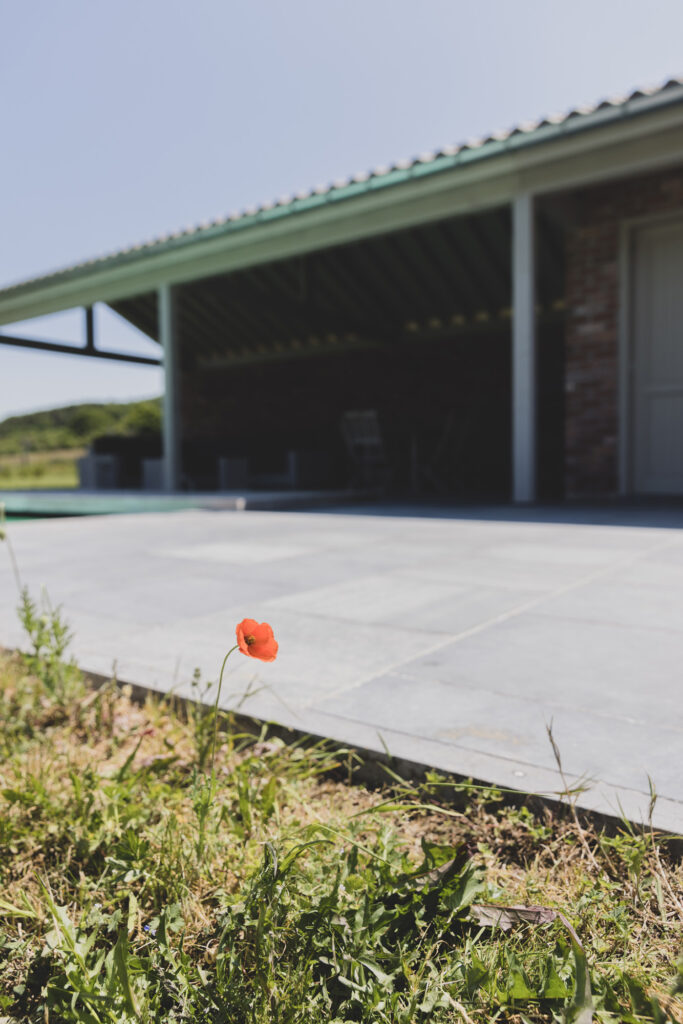 Pool House réalisée en bois